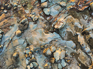Rocks and stones near the beach