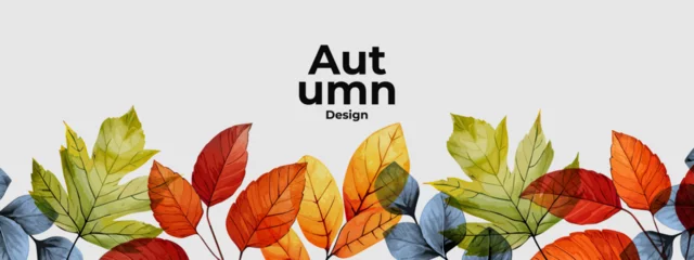 Poster Autumn seasonal background with long horizontal border made of falling autumn green, golden, red and orange colored leaves isolated on background. Hello autumn vector illustration © Tanya