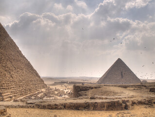 Fototapeta na wymiar Birds take flight around the Pyramids of Giza, Egypt, North Africa.