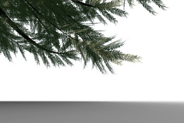 Obraz premium Digital png photo of christmas tree twigs on transparent background