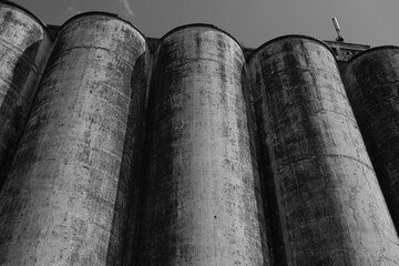  abandoned industrial buildings in the park black and white © Serg