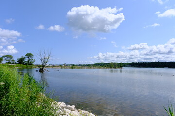 lake outside the city with a rocky shore and a dried tree in the water