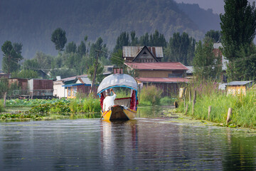 Shikara boat ride in Dal Lake, Kashmir, India