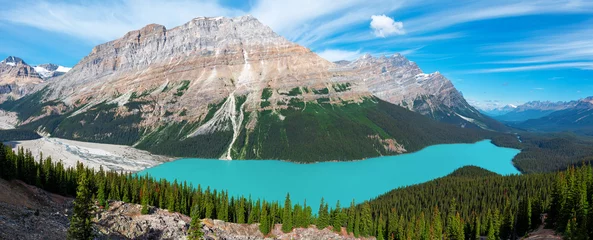 Papier peint photo  Peyto Lake panorama, Banff national park, Alberta, Canada.   © SL-Photography