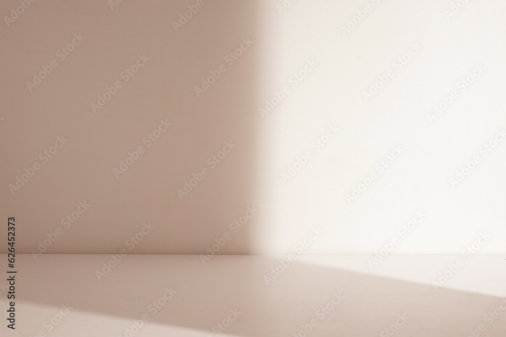 Poster Empty room with half shadow for display