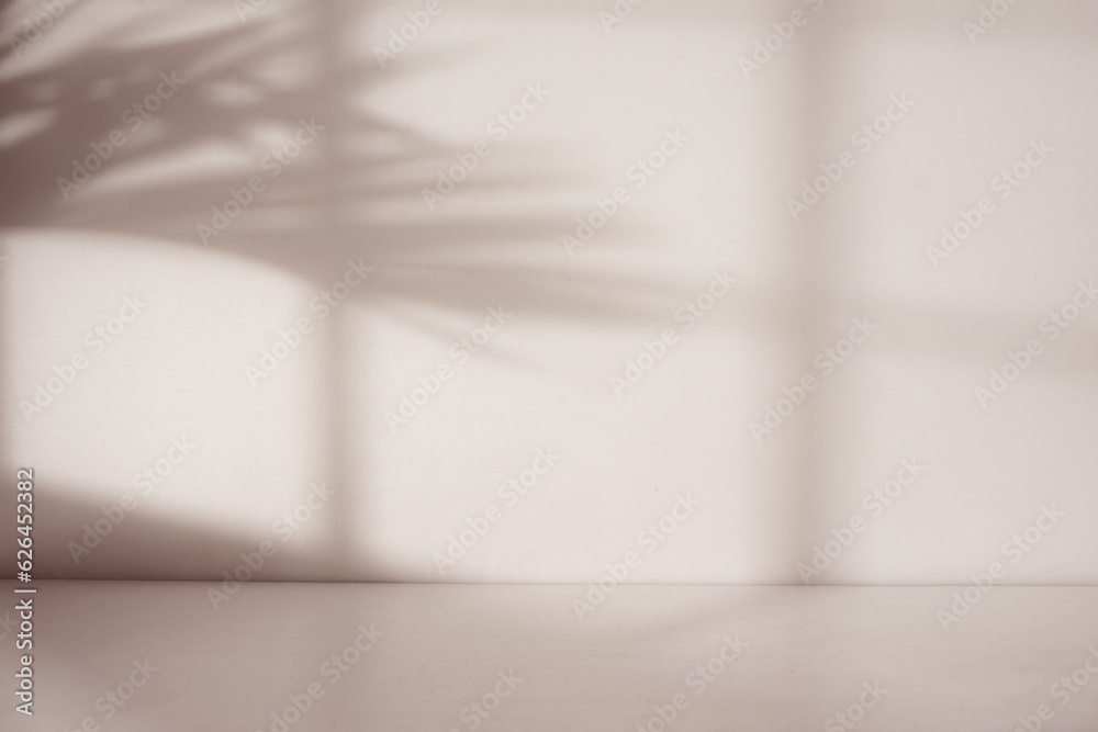 Poster empty room with window and palm leaf shadow