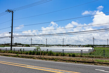 Fototapeta premium 鹿島灘海公園