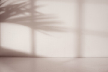Empty room with window and palm leaf shadow