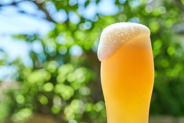 ビールグラスに注がれた生ビール