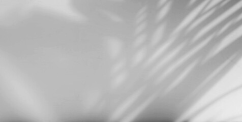 Obraz premium abstract leaf shadow texture