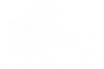 white dust particle texture