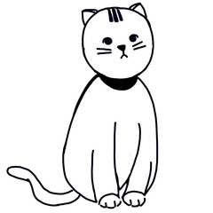 Obraz premium sitdown cat