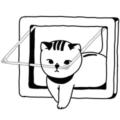 cat flap cat