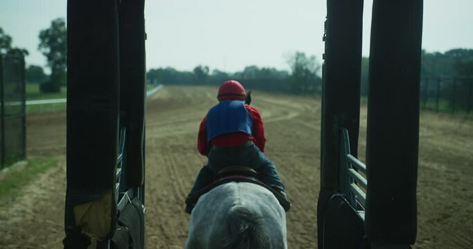 Jockey on a horse in starting gate. Gate opens and white horse sprints down the track. Equestrian sport, competition outdoors. Sprinting horse.