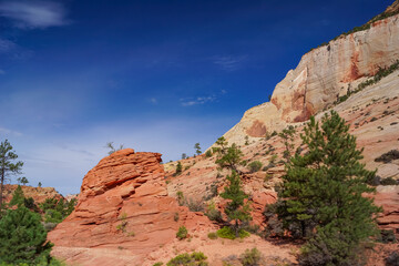 Fototapeta premium Scenic view of Cross beds of aeolian sandstone rock formations on Zion National Park Canyon Overlook hiking trail, Utah, USA. Uninhabited canyon near Mount Carmel road with majestic unique landscape
