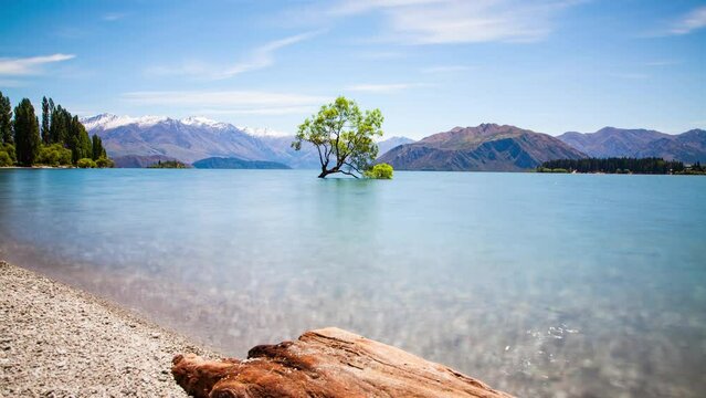New Zealand Wanaka Tree Landscape Time Lapse.