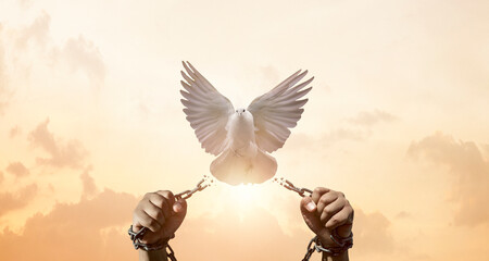chains on hand that transform into peace birds. freedom and charge concept - obrazy, fototapety, plakaty