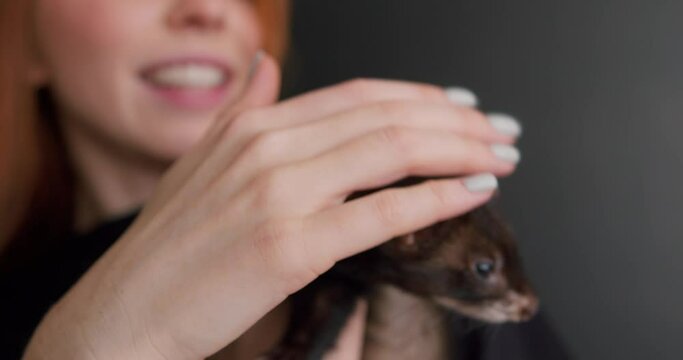 cheerful girl holding funny fluffy pet which is sticking tongue out, isolated on black studio blurred background copy space Slow motion. tender, warm feeling and emotion