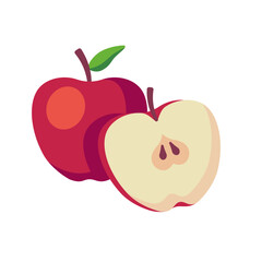 Vector illustration of apple. Juicy apple illustration in section