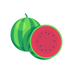 Vector illustration of watermelon. Juicy watermelon illustration in section