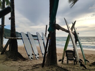 a bunch of surfboards - Powered by Adobe