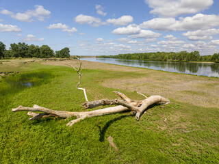 Leafy Irtysh river bank near outpost Talitsa in Kazakhstan.