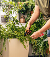 Woman is taking care of houseplants.