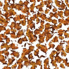 pattern with leaves Abstract brown  Color Skeleton Leaf for background and texture 