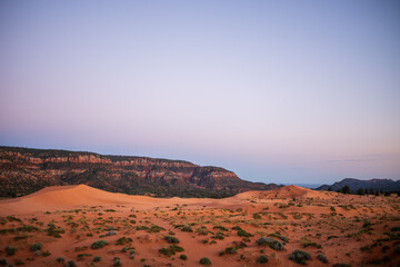 Fototapeta na wymiar Sandünen und rote felsen in der wüste