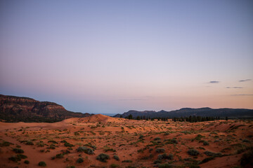 Abendlicht in der Wüste