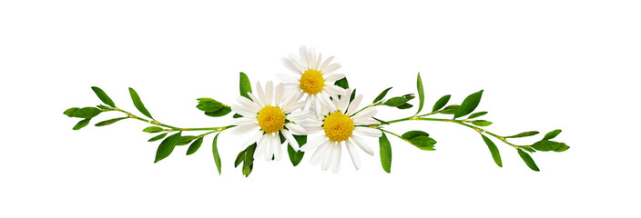 Daisy flowers and green grass in a floral line arrangement isolated on white or transparent background - 626480524