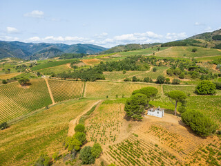 A Bird's-Eye Perspective: Summer Splendor in Villafranca del Bierzo with Vineyards and Countryside, Spain