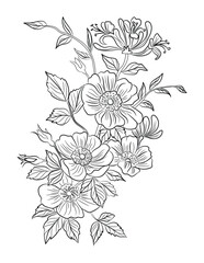 Floral coloring page, flower line art illustration