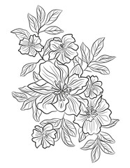 Floral coloring page, flower line art illustration