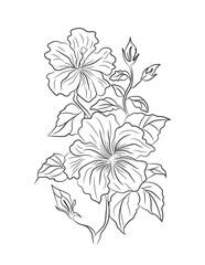 Floral coloring page, flower line art illustration