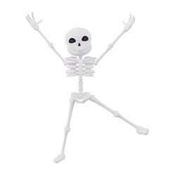 Funny Skeletons 3D Character