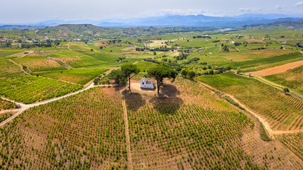 A Bird's-Eye Perspective: Summer Splendor in Villafranca del Bierzo with Vineyards and Countryside, Spain - 626481191