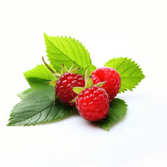 Isolated berries, Bunch of raspberry fruits with leaves isolated on white background,