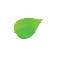 leaf icon