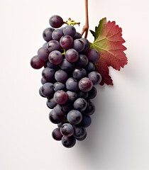 Fototapeta premium Bunch of black grapes with drops of water on a white background