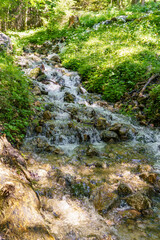 Sommerzeit im Salzkammergut in Österreich