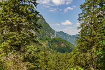 Fototapeta premium Sommerzeit im Salzkammergut in Österreich