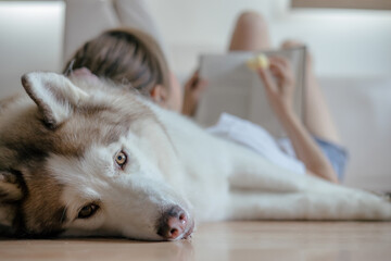 Husky dog laying on room floor with a woman lying in the background reading a book