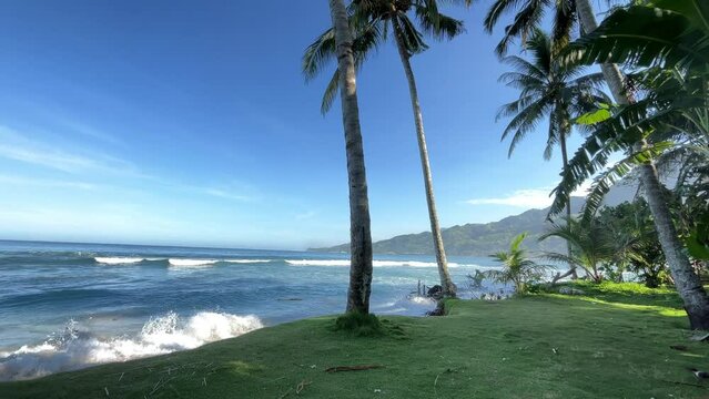 beautiful view in the morning while walking on the beach covered with fresh grass at samadua south aceh Indonesia