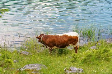 Das Salzkammergut in Österreich