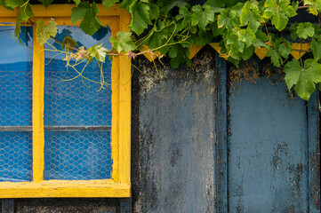 Détail d'une fenêtre de cabane ostréicole, bassin d'Arcachon, l'Aiguillon	
