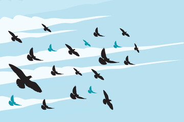 Group flying dove, pigeon on sky