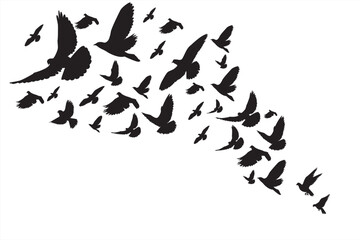 Fototapeta na wymiar Group of pigeon Stock Vector illustration. Flock Of Pigeons Go Up Stock Illustration