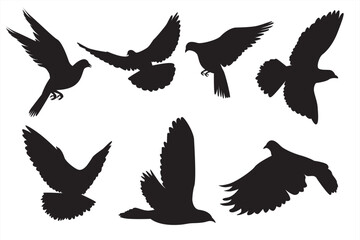 Fototapeta premium Group of pigeon Stock Vector illustration
