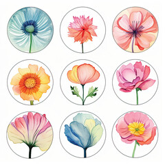 Set of circle shapes, Clip art flowers only in circle, watercolor, clipart flower style